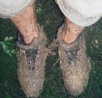 dirty_shoes.jpg